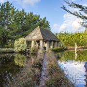 Giant pond in the grounds of the £3.85m house