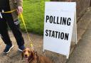While this dog's owner can vote today, residents of Chiseldon & Lawn can't vote in the council elections