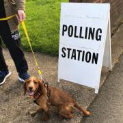 While this dog's owner can vote today, residents of Chiseldon & Lawn can't vote in the council elections