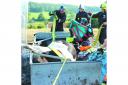 Firefighters used specialist rescue equipment to free the cow from the water trough