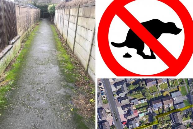 This Haydon Wick path has been renamed 'dog mess alley' by neighbours