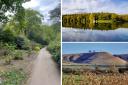 10 easy walks in Swindon and Wiltshire