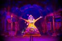 Dame Fifi played by David Ashley at The Wyvern Theatre's Beauty and the Beast pantomime