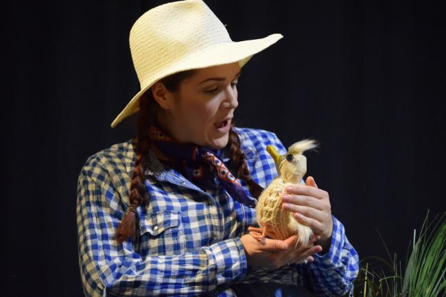 A retelling of The Ugly Duckling will be performed at the Shoebox Theatre