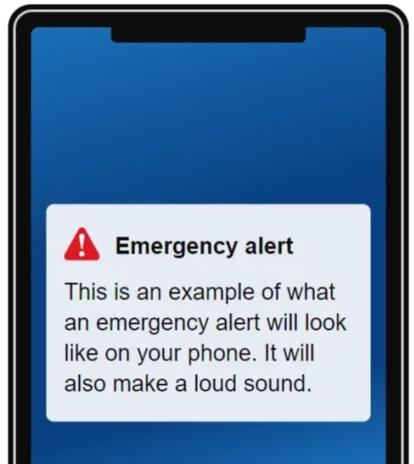 This Is Wiltshire: What a government emergency alert will look like. Picture: gov.uk